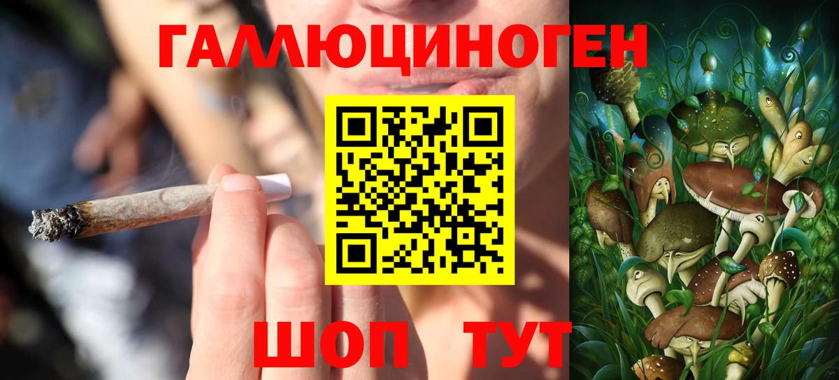 Пыть-Ях  Псилоцибиновые грибы GOLDEN TEACHER  Псилоцибиновые грибы MAGIC MUSHROOMS  Вход с VPN 